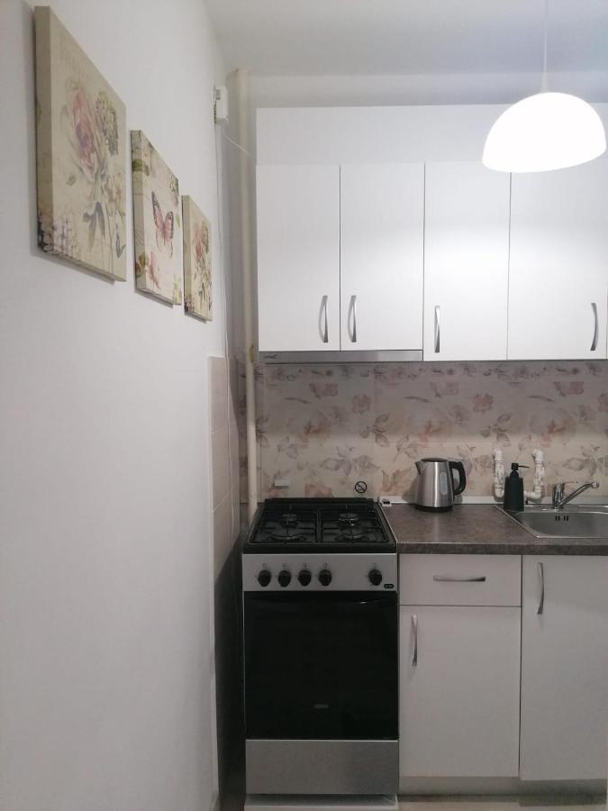 Laroka House Cosy And Modern Apartment Universitate-City Centre Bucharest Exterior photo